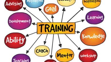 The Importance Of Basic Specialist Training In Career Development