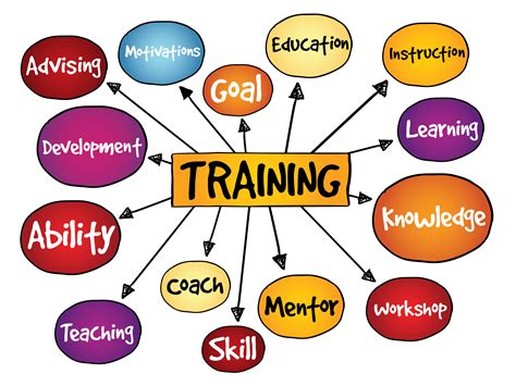 The Importance Of Basic Specialist Training In Career Development